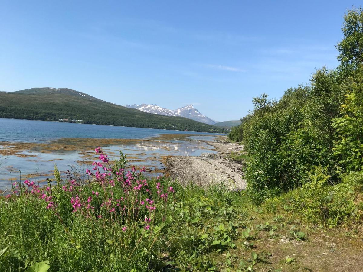 Hakoyveien 151, Tromso Hotel Екстериор снимка