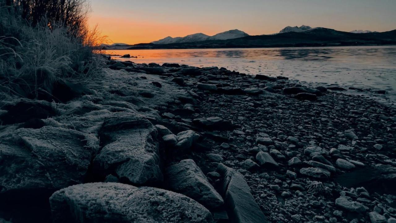 Hakoyveien 151, Tromso Hotel Екстериор снимка